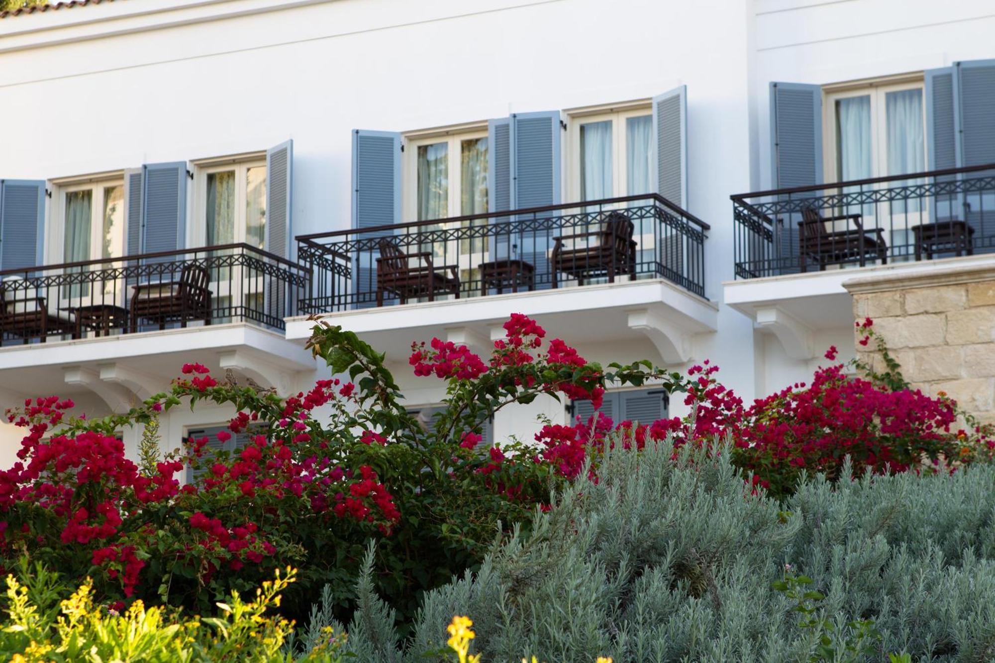 Hotel Anassa Polis Pokoj fotografie
